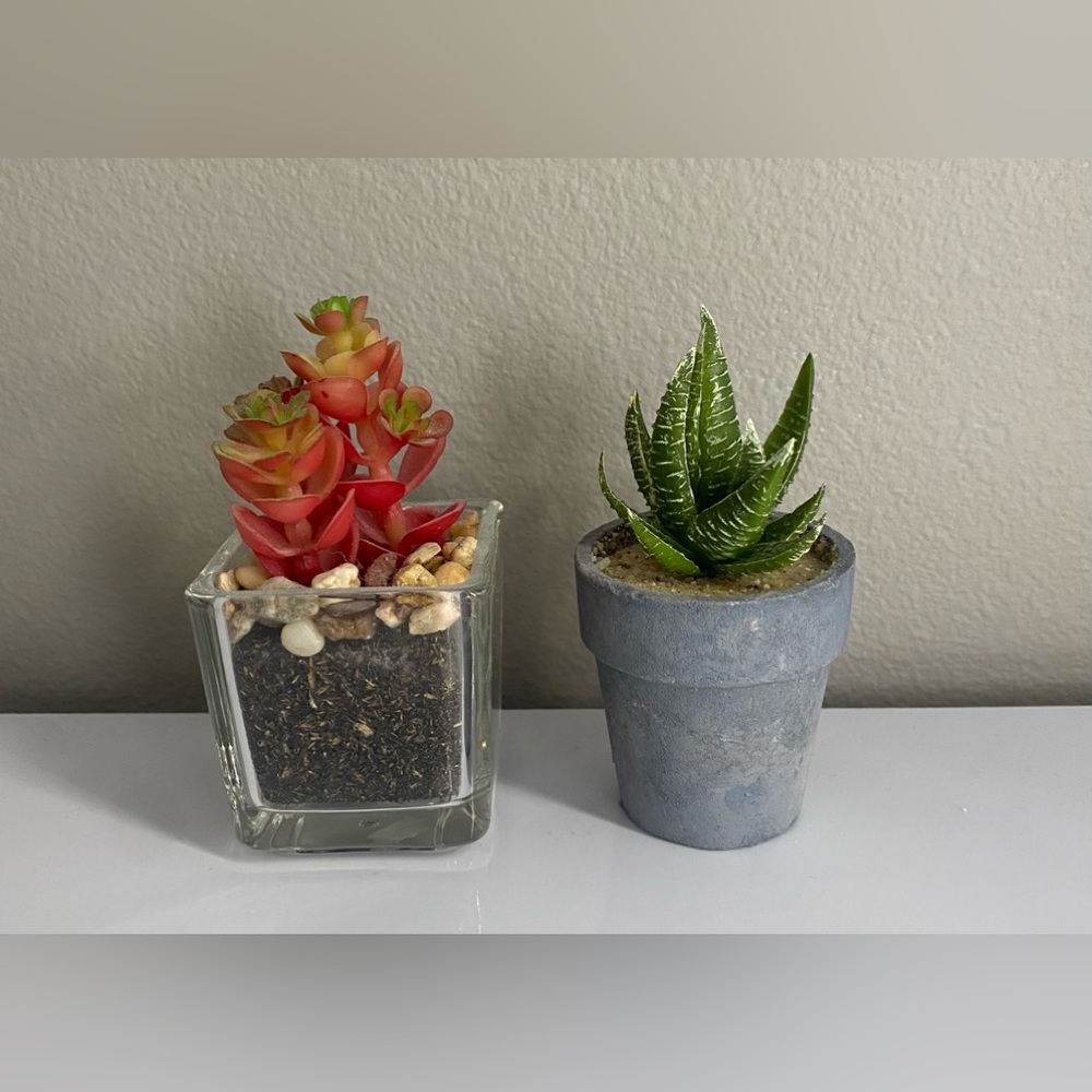Mini Flower pots - Picture 2 of 3